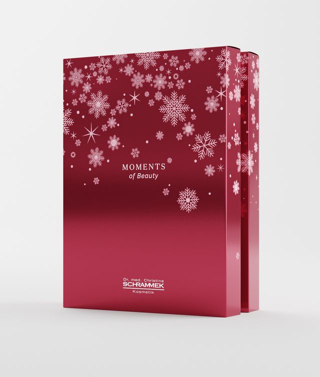 Dr.Schrammek Adventskalender